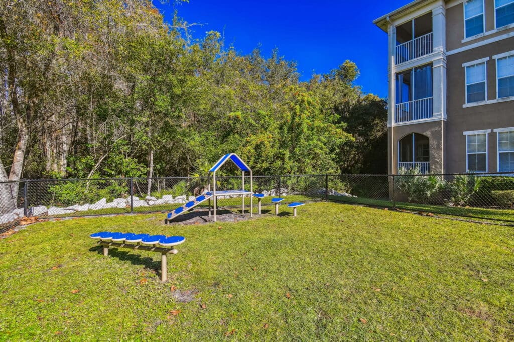 **Alt Text Description**: An outdoor fenced dog park area with agility training equipment, including a small ramp with a roofed platform and balance steps, all painted in blue and white. The grassy space is bordered by a black chain-link fence and backed by dense green trees. A corner of a three-story apartment building with screened balconies is visible on the right side of the image, and the sky is bright and clear blue, indicating a sunny day.
