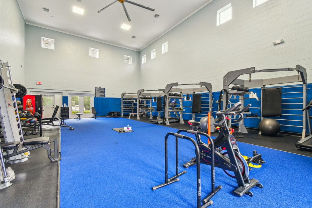 Spacious gym with blue flooring, several power racks equipped with barbells, TRX bands, and medicine balls, alongside a stationary bike and other fitness equipment.